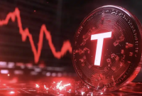 TON Token Tumbles 50%: Investors Seek Answers